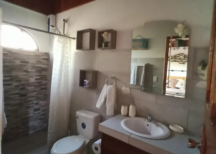 Gray House Domenico